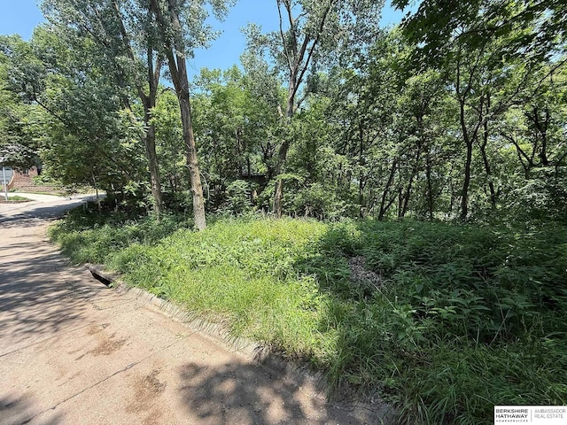 LOT13 Hidden Hls, Bellevue, NE 68005