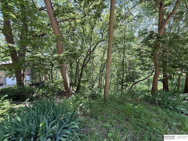 LOT13 Hidden Hls, Bellevue, NE 68005