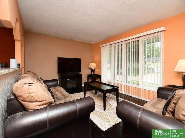 9705 Cady Ave, Omaha, NE 68134 - living area with wood finished floors and a textured ceiling