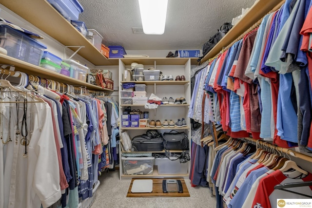 7409 Elk Creek Dr, Lincoln, NE 68516 - spacious closet with carpet