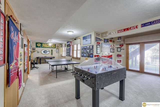 7409 Elk Creek Dr, Lincoln, NE 68516 - rec room featuring carpet floors, a textured ceiling, and healthy amount of natural light