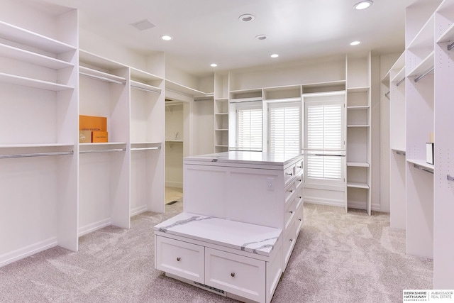 14341 Hamilton St, Omaha, NE 68154 - spacious closet featuring light carpet