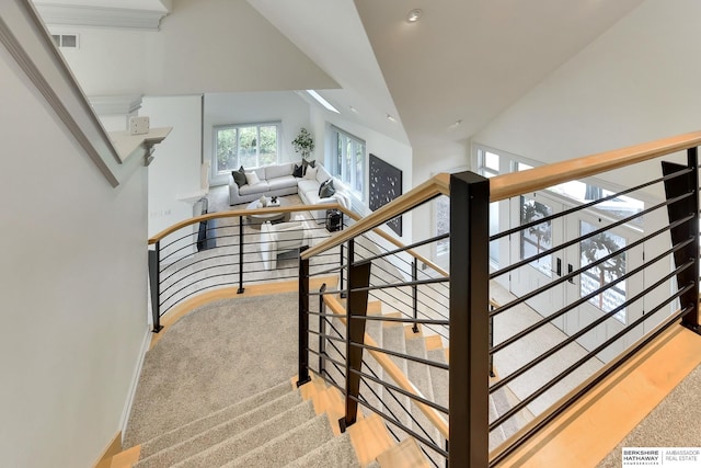 14341 Hamilton St, Omaha, NE 68154 - stairs with carpet flooring