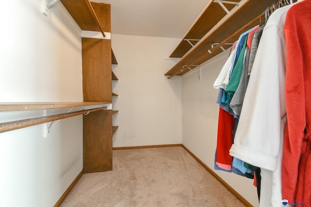 3646 S 77th St, Lincoln, NE 68506 - spacious closet with carpet floors
