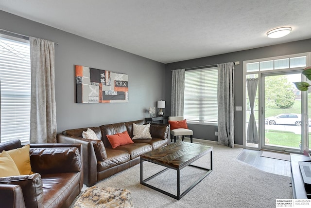16501 Aurora St, Omaha, NE 68136 - living room featuring plenty of natural light and carpet flooring