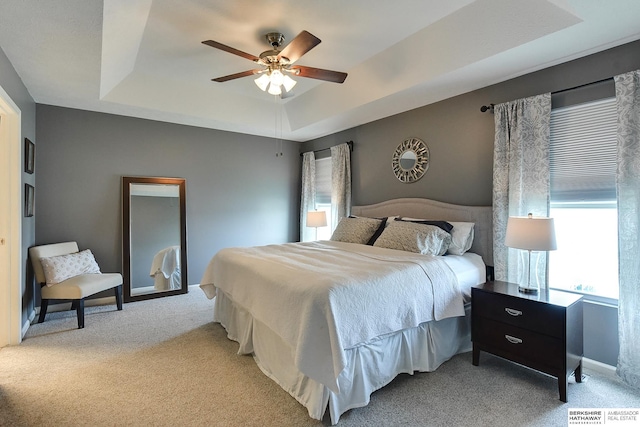 16501 Aurora St, Omaha, NE 68136 - bedroom with a tray ceiling, multiple windows, and light colored carpet
