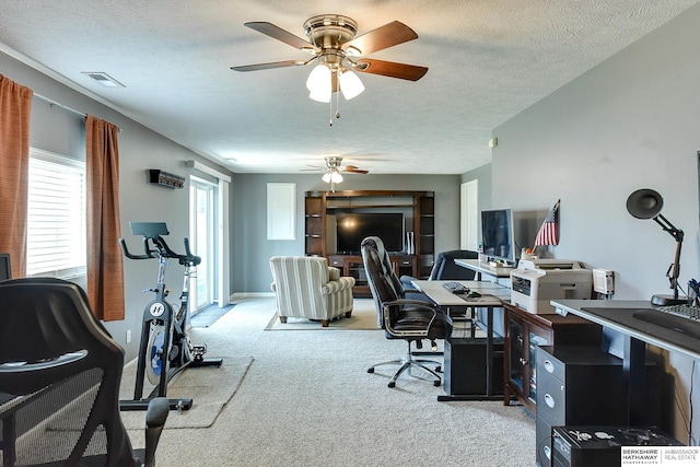 16501 Aurora St, Omaha, NE 68136 - carpeted home office featuring a ceiling fan and a textured ceiling