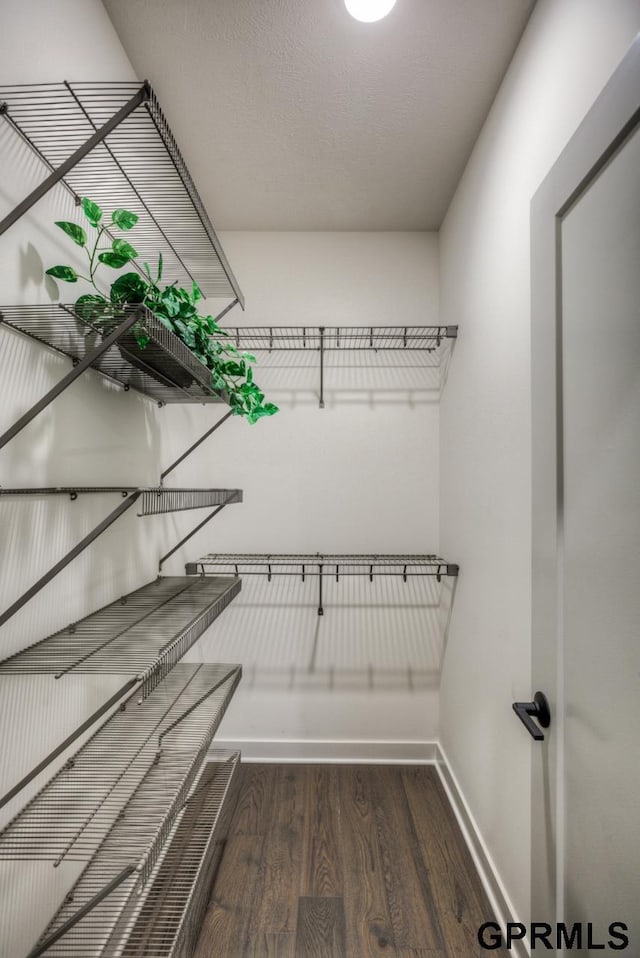 3103 N 184th St, Elkhorn, NE 68022 - spacious closet featuring wood finished floors