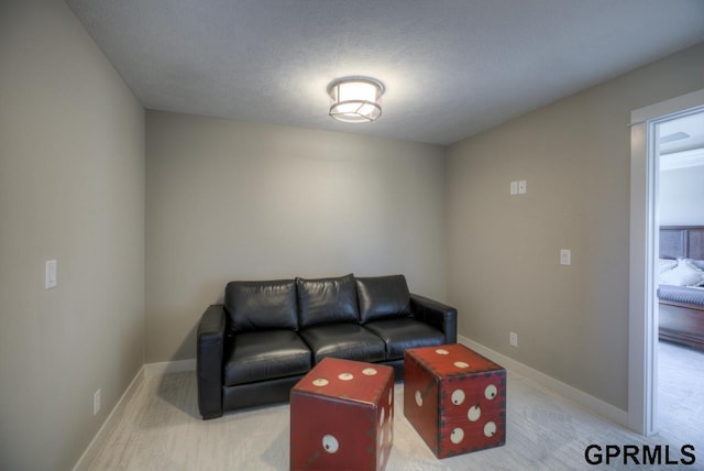3103 N 184th St, Elkhorn, NE 68022 - living area featuring carpet floors and a textured ceiling