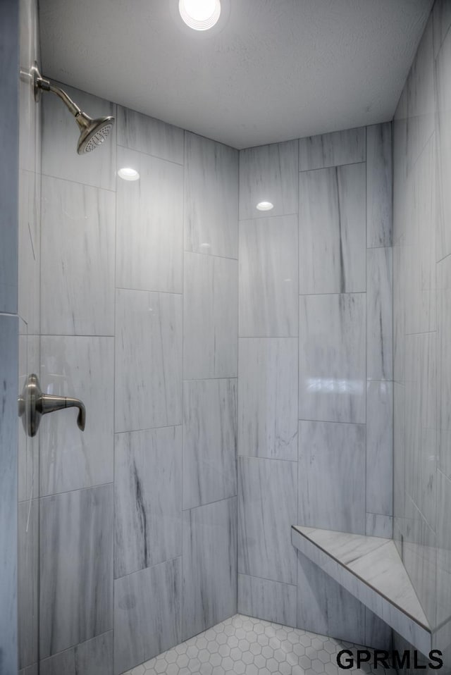 3103 N 184th St, Elkhorn, NE 68022 - bathroom with a tile shower