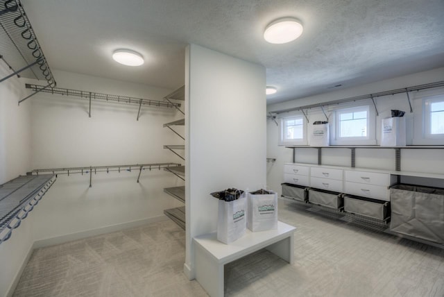 3103 N 184th St, Elkhorn, NE 68022 - walk in closet with carpet flooring