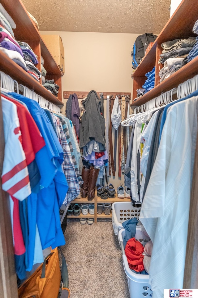85 Vince Dr, Bennet, NE 68317 - spacious closet featuring carpet floors