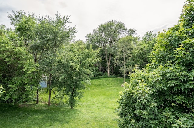 85 Vince Dr, Bennet, NE 68317 - view of grassy yard