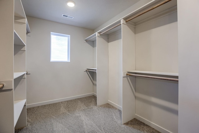 11920 S 109th St, Papillion, NE 68046 - walk in closet with light colored carpet