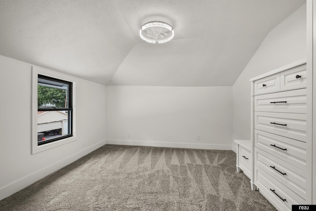 316 N 13th St, Tekamah, NE 68061 - bonus room featuring vaulted ceiling, carpet flooring, and a textured ceiling
