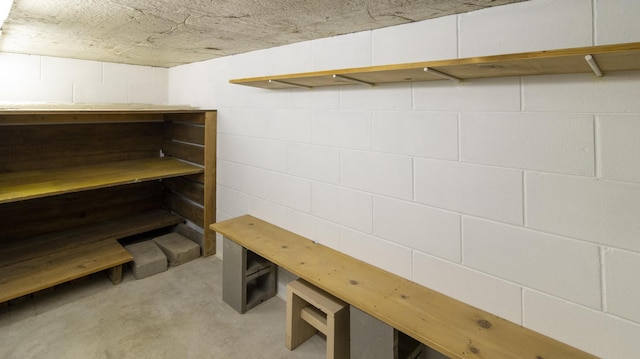 590 Tyler St, Bennet, NE 68317 - view of storage room