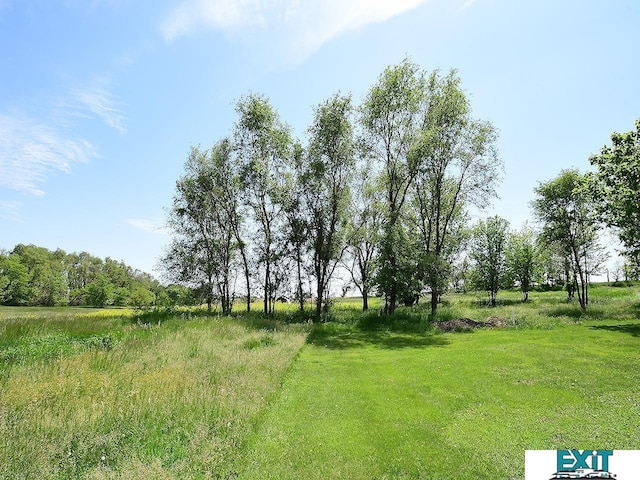 9105 Olive Creek Rd, Hickman, NE 68372 - view of yard