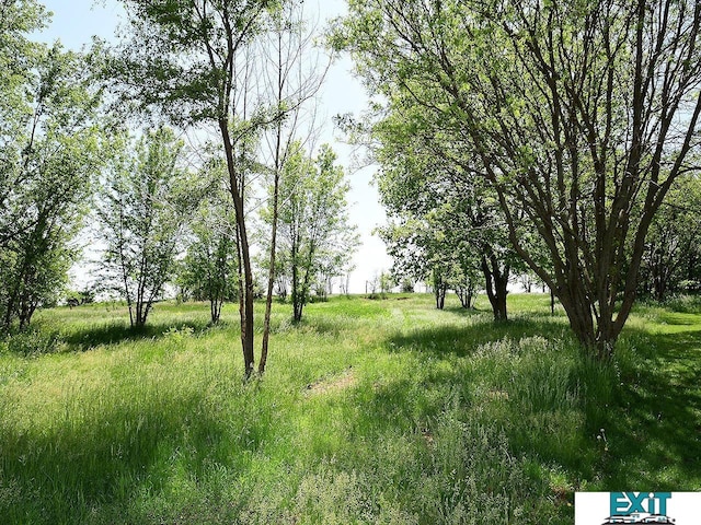9105 Olive Creek Rd, Hickman, NE 68372 - view of undeveloped land