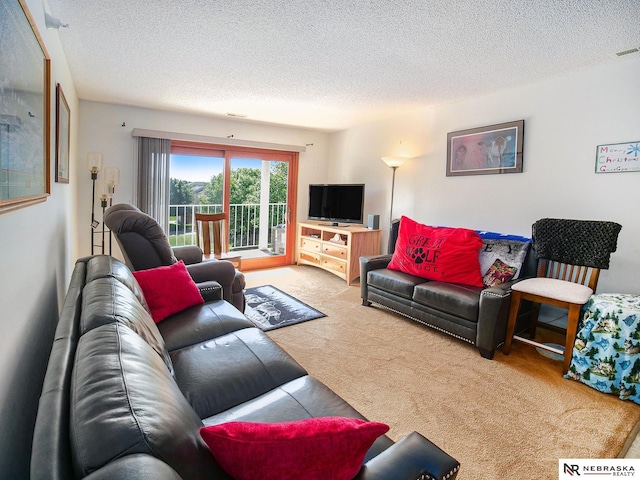 2425 Folkways Blvd Unit 211, Lincoln, NE 68521 - living room with carpet flooring and a textured ceiling