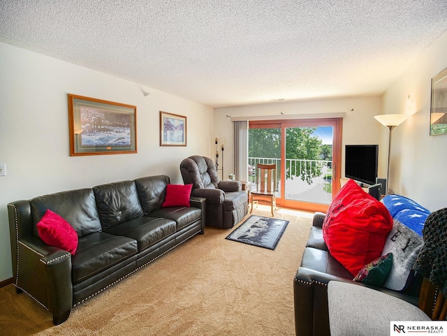 2425 Folkways Blvd Unit 211, Lincoln, NE 68521 - living area with carpet flooring and a textured ceiling
