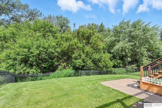408 S 197th St, Omaha, NE 68022 - fenced backyard with stairway