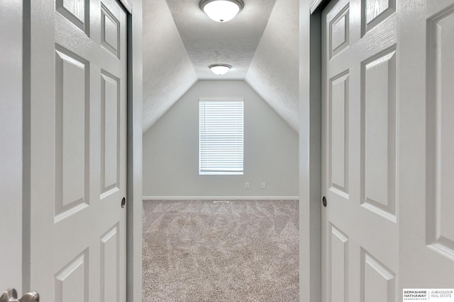 16332 Patrick Ave, Omaha, NE 68116 - additional living space with a textured ceiling, carpet floors, and lofted ceiling