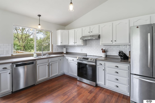 155 Vince Dr, Bennet, NE 68317 - kitchen with appliances with stainless steel finishes, under cabinet range hood, decorative backsplash, white cabinets, and vaulted ceiling