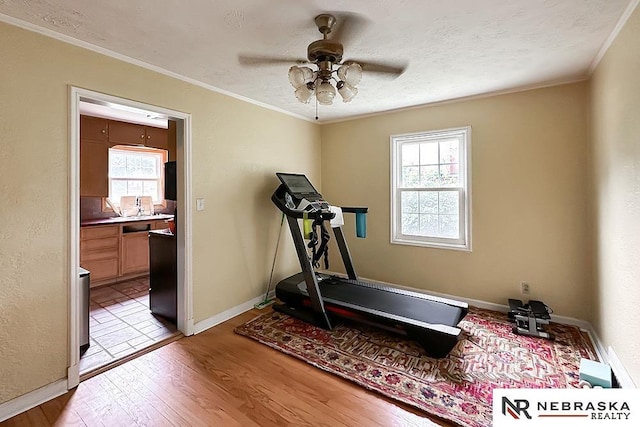 3340 N 48th Ave, Omaha, NE 68104 - exercise room with light wood-style flooring, a ceiling fan, and crown molding