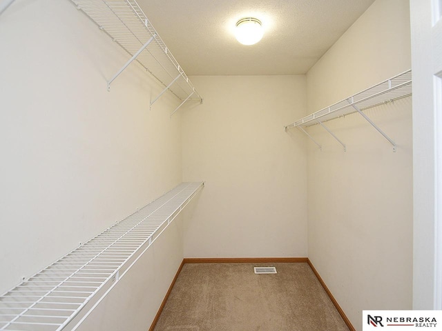 2906 Bar Harbor Dr, Bellevue, NE 68123 - walk in closet with carpet