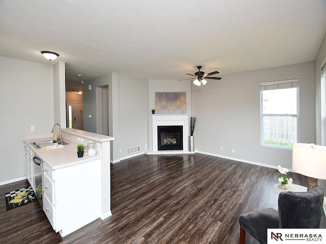 2906 Bar Harbor Dr, Bellevue, NE 68123 - living area with a ceiling fan, dark wood finished floors, and a glass covered fireplace