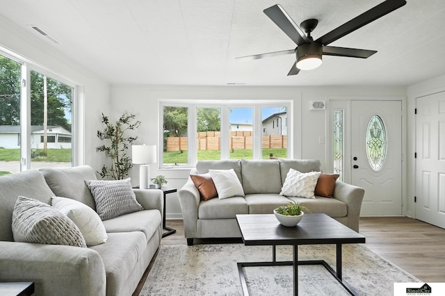 1107 N 6th St, Nebraska City, NE 68410 - living room with healthy amount of natural light, light wood-style floors, and a ceiling fan