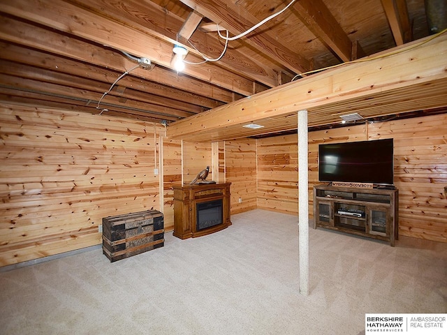5511 S 104th Cir, Omaha, NE 68127 - finished basement with carpet, wood walls, and a fireplace