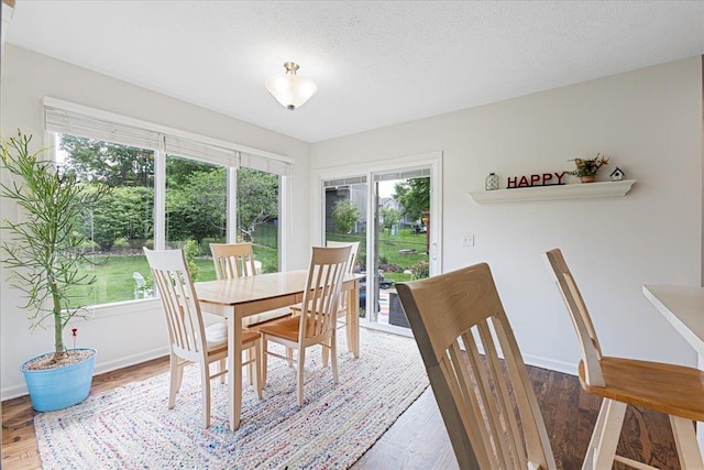 16404 Polk St, Omaha, NE 68135 - dining room featuring wood finished floors