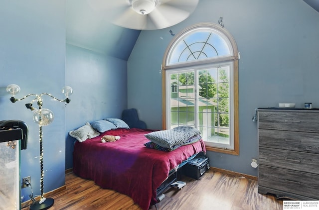 1326 Bellevue Blvd, Bellevue, NE 68005 - bedroom with multiple windows, wood finished floors, and lofted ceiling
