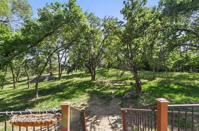 1326 Bellevue Blvd, Bellevue, NE 68005 - view of yard