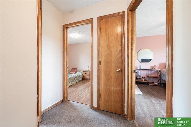 10011 S 9th Cir, Bellevue, NE 68123 - corridor with wood finished floors