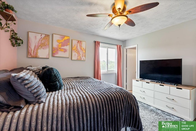 10011 S 9th Cir, Bellevue, NE 68123 - bedroom featuring a textured ceiling and ceiling fan
