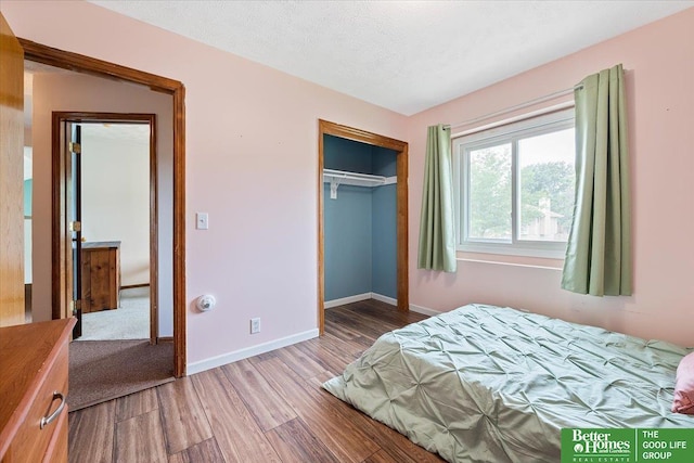 10011 S 9th Cir, Bellevue, NE 68123 - bedroom featuring wood finished floors and a closet