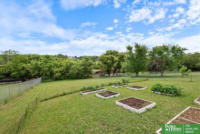 10011 S 9th Cir, Bellevue, NE 68123 - view of yard featuring a vegetable garden