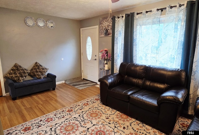 7512 Susan Ave S, La Vista, NE 68128 - living room featuring wood finished floors and baseboards