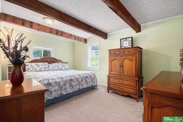 9109 Murray Dr, Plattsmouth, NE 68048 - bedroom featuring beamed ceiling, light colored carpet, a textured ceiling, and multiple windows
