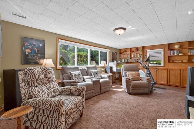 247 N 117th Ave, Omaha, NE 68154 - carpeted living room with built in features