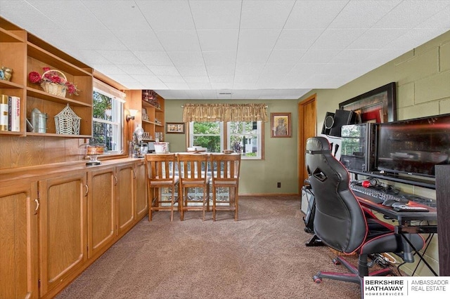 247 N 117th Ave, Omaha, NE 68154 - office area with carpet flooring