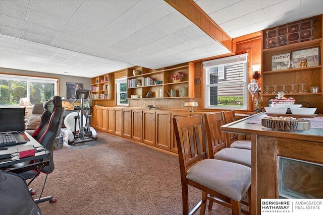 247 N 117th Ave, Omaha, NE 68154 - bar with carpet, wood walls, and built in shelves