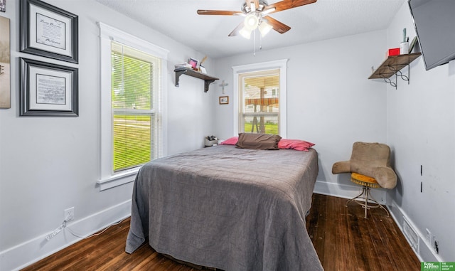 13130 N St N, Omaha, NE 68137 - bedroom with wood finished floors and ceiling fan