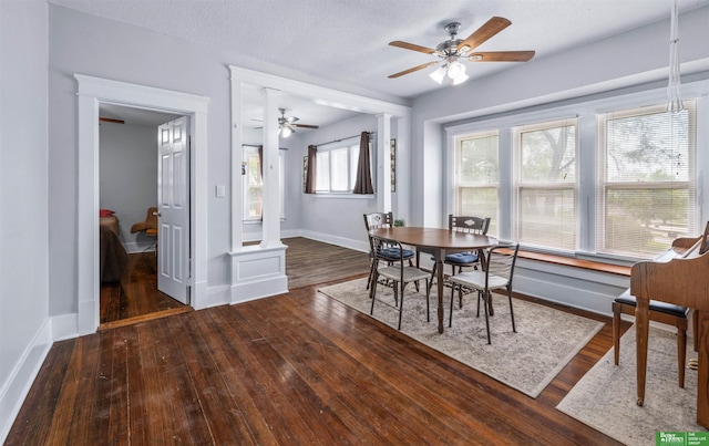 13130 N St N, Omaha, NE 68137 - dining room featuring ceiling fan and wood-type flooring