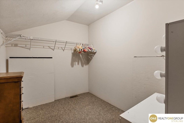 3521 N 267th Plz, Waterloo, NE 68069 - walk in closet with carpet and vaulted ceiling