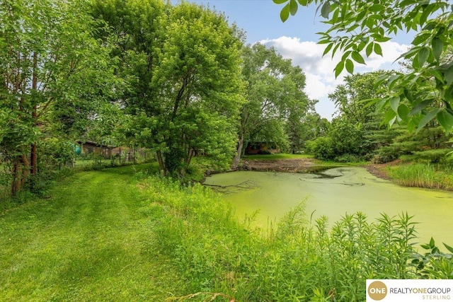 3521 N 267th Plz, Waterloo, NE 68069 - view of yard with a water view