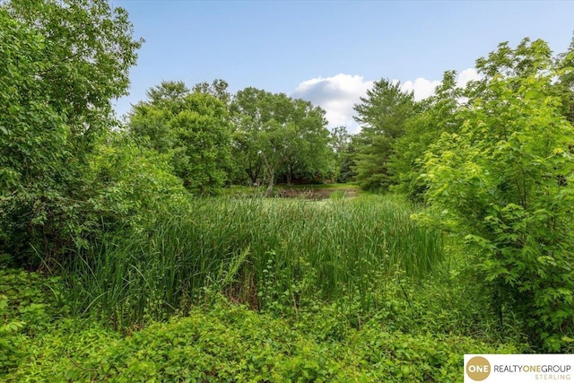 3521 N 267th Plz, Waterloo, NE 68069 - view of wooded area