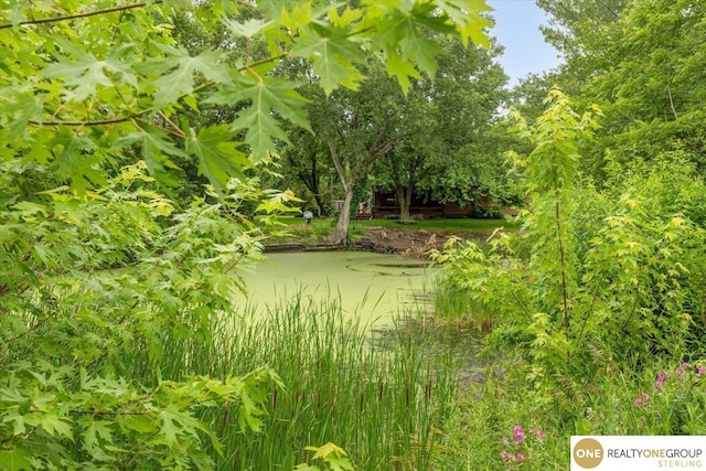 3521 N 267th Plz, Waterloo, NE 68069 - view of local wilderness